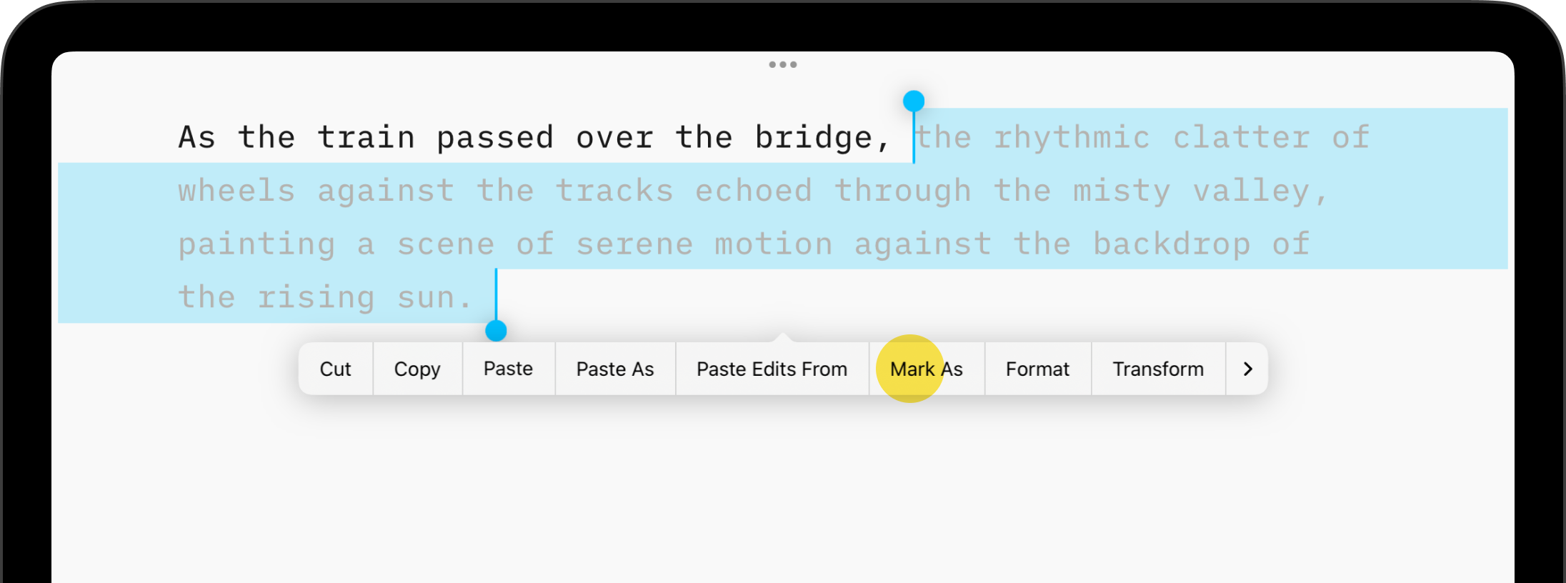 A screenshot of a text with a portion selected, showing a pop-up menu with the 